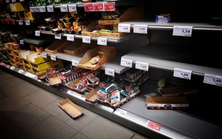Stripped, empty shelves: the query came back with nothing