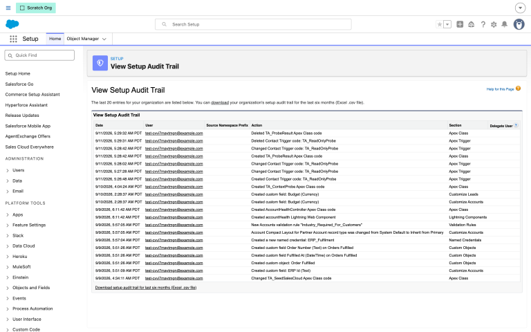 The Setup Audit Trail, filtered