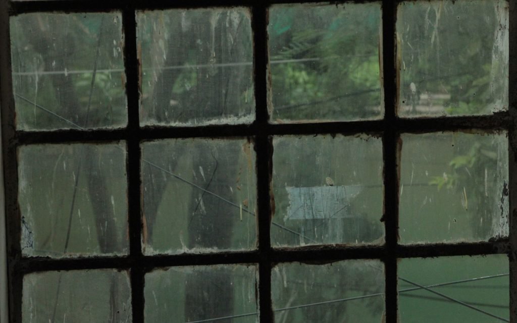 The same view, through different glass