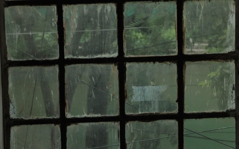 The same view, through different glass