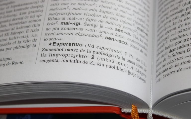 A dictionary open mid-entry, because most of this job is translation
