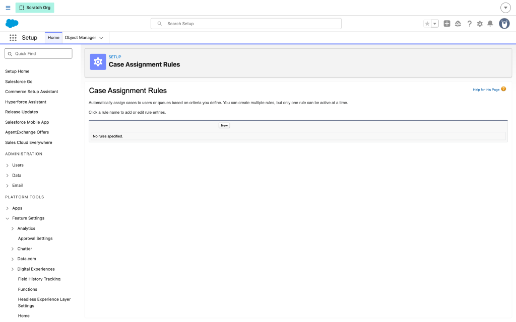 Case Assignment Rules in Setup