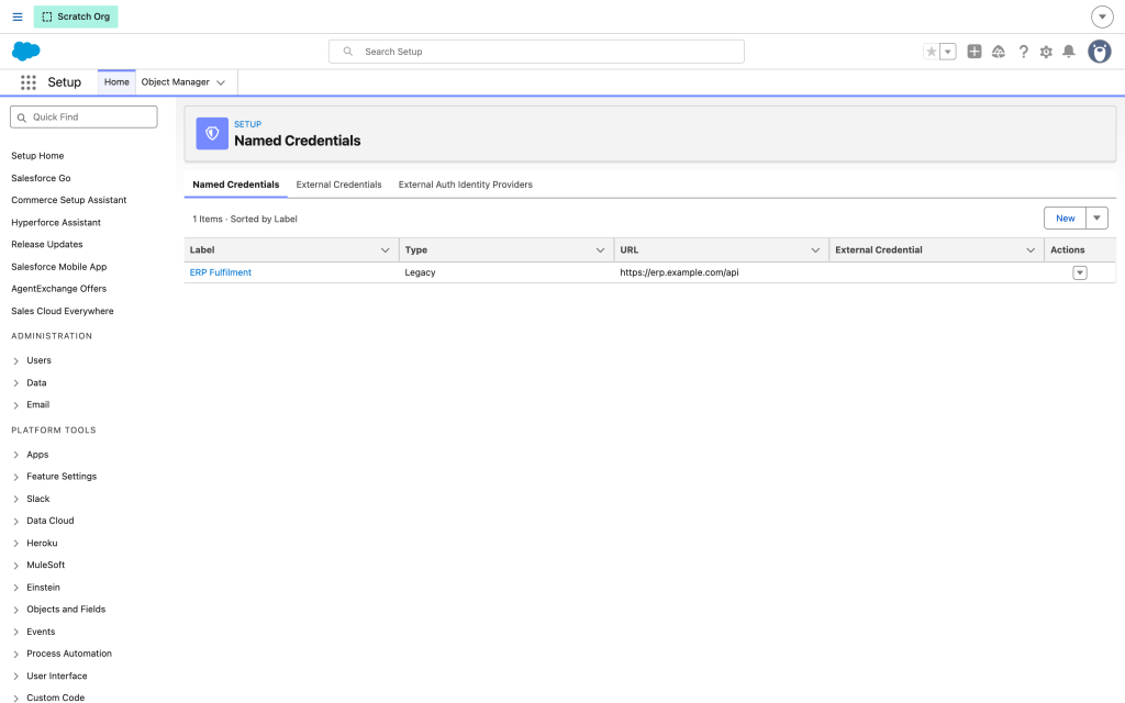The Named Credentials list showing one credential with its type and endpoint URL