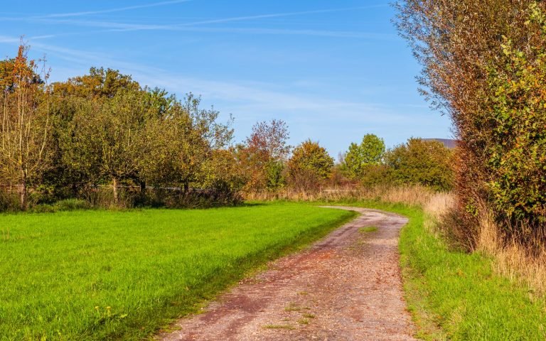 A path worn by walking rather than drawn on a map